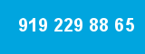 919 229 88 65